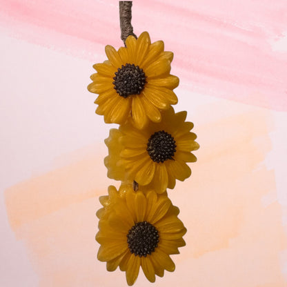 Hanging Soaps