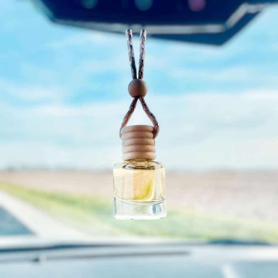 Car diffuser